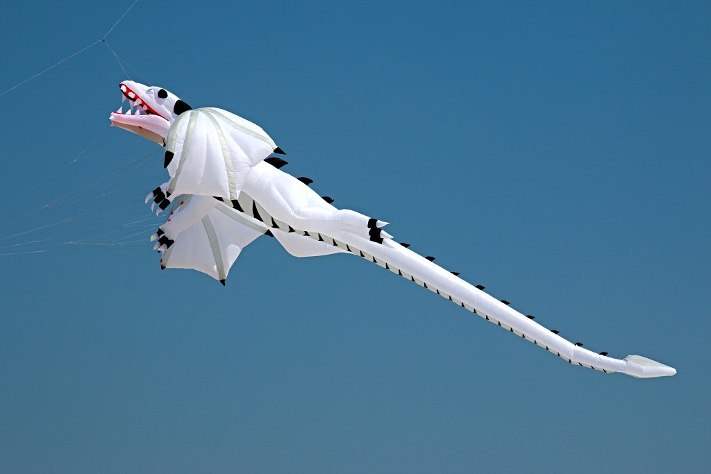 Cerfs-Volants vliegerfestival festival festiviteit evenement event berck sur mer vlieger speelgoed strand